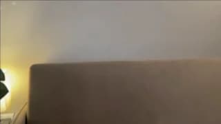 -braveheart- - bongacams