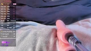 Amanitalis - stripchat