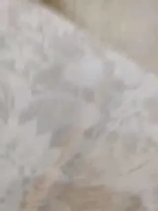 Angelia22 - bongacams