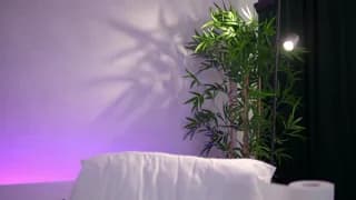 ArtTeasee - bongacams