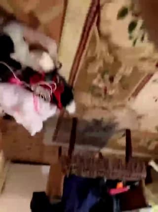 Daisy12321 - bongacams