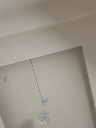 DandanBurgerking - stripchat