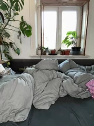 FayeFlame - stripchat