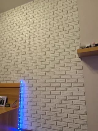 GORIGLAZ - bongacams