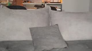 HotBella- - stripchat