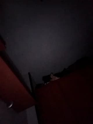 Hottiesophie - stripchat