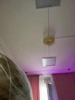 HugeBoobsAlice - stripchat