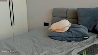 King-Jaster - stripchat