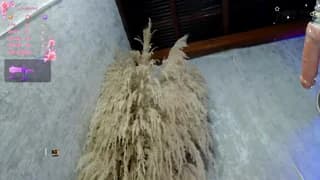 Lena_helleen - stripchat