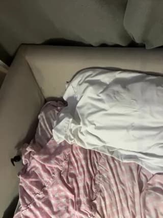 LilEuphoria - stripchat