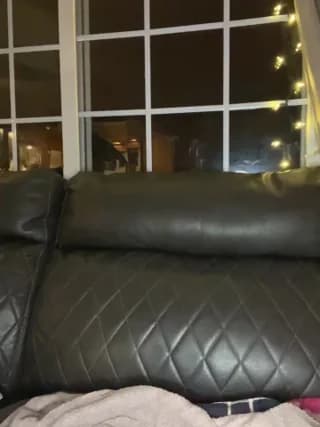 LittleMissEeve - stripchat