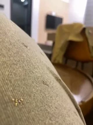 MEOW_MEO - stripchat