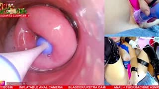 MaryBrook1 - stripchat