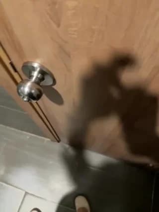 Meii-meyy - stripchat