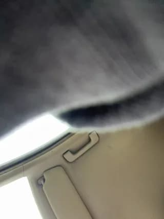 Pablo_Hornyguy95 - stripchat