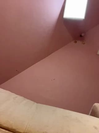 Rinamay_ - stripchat