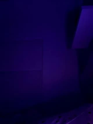 SallyeLeins - bongacams