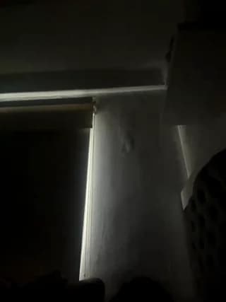 SallyeLeins - bongacams