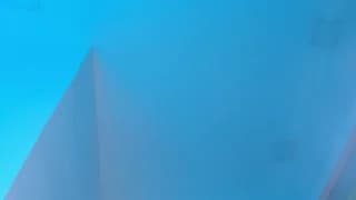 sebax_young thumbnail