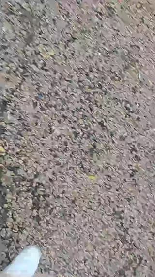 Sexylatinogay - cam4