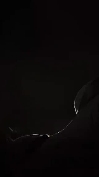 Sexylatinogay - cam4