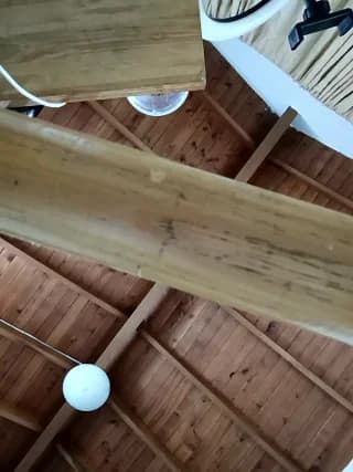 silvabranko thumbnail