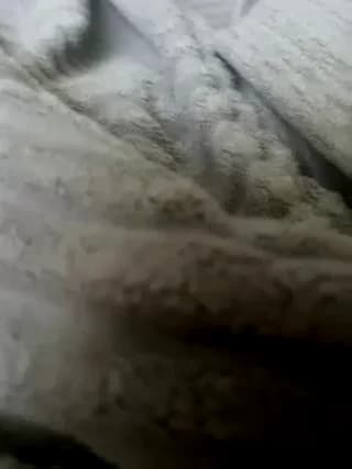 Skripach - bongacams