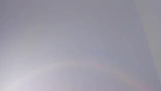 Sophia_Cambpell - stripchat