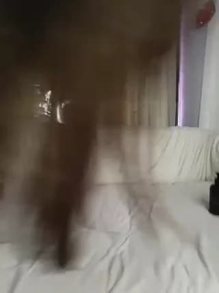 StarKristy - bongacams