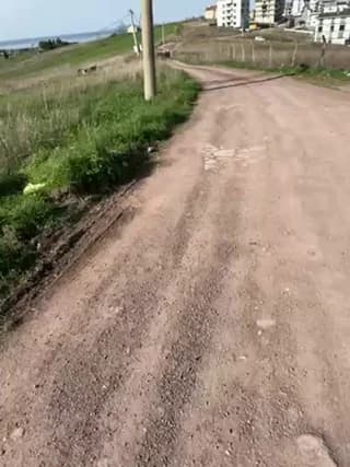 Turkishleo - stripchat