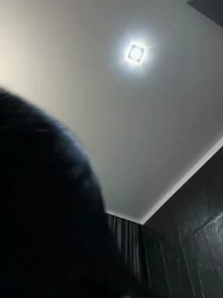 Vero19nika - bongacams