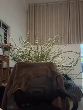 Vn___CUA - stripchat