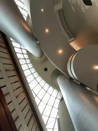 ___Nessa - stripchat