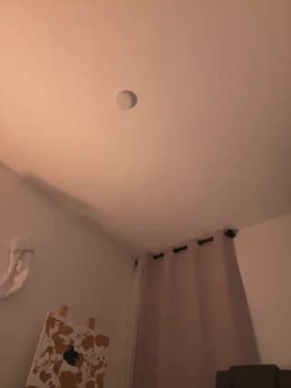 andra_rose - stripchat