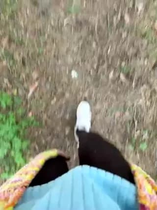 aniram2221 - bongacams