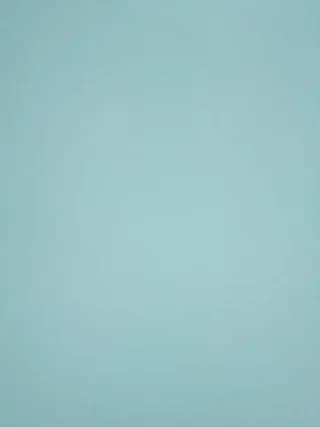 bingxin- - stripchat