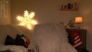 blissdilley - chaturbate