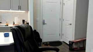 bluecollarhunk - chaturbate