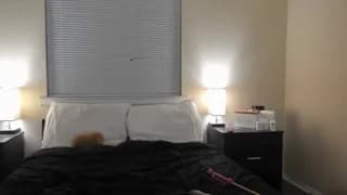 bridgetblack666 - chaturbate