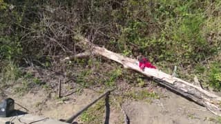 darksecret_Lar - cam4