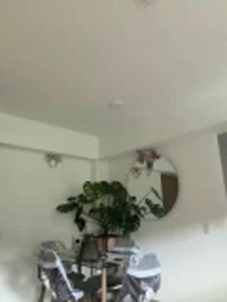 divavirtual11 - stripchat