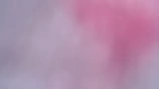 dolcevainin - chaturbate