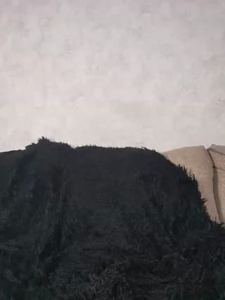 evaangel - bongacams