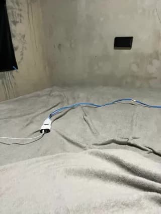 flavia337 - stripchat