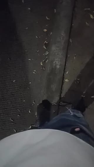 hardsexlove08 - cam4