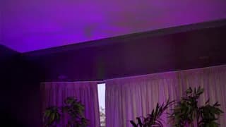 hotbustybabex - chaturbate