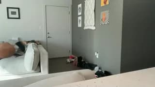 itssheababy - chaturbate