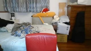 kai101010 - stripchat