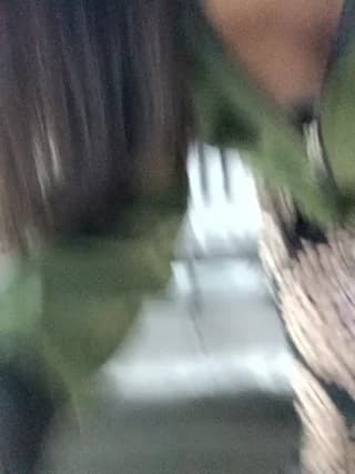 nam_tootsis - stripchat