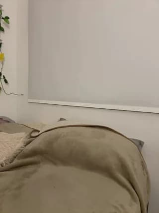 oriana_zoeee - stripchat